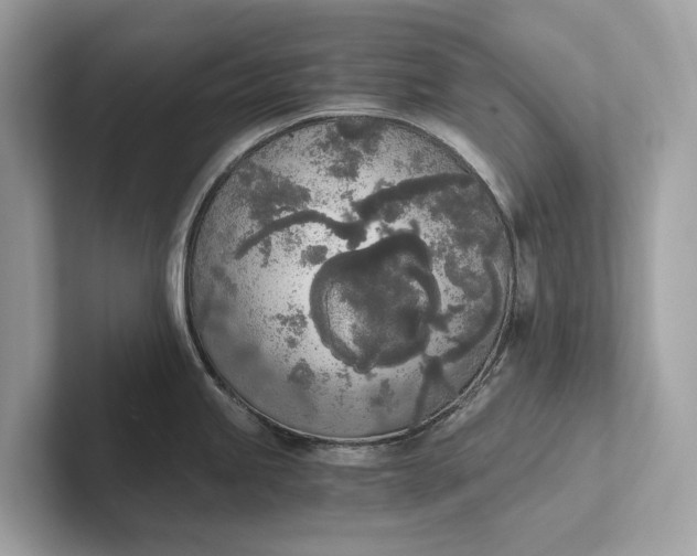 X0000101391245200807211006