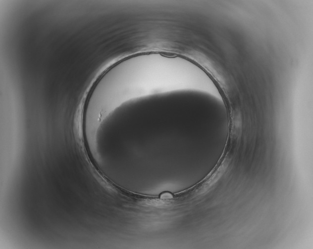 X0000101391246200807211007