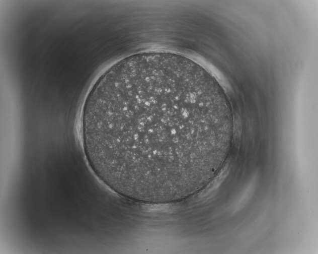 X0000101391247200807211007