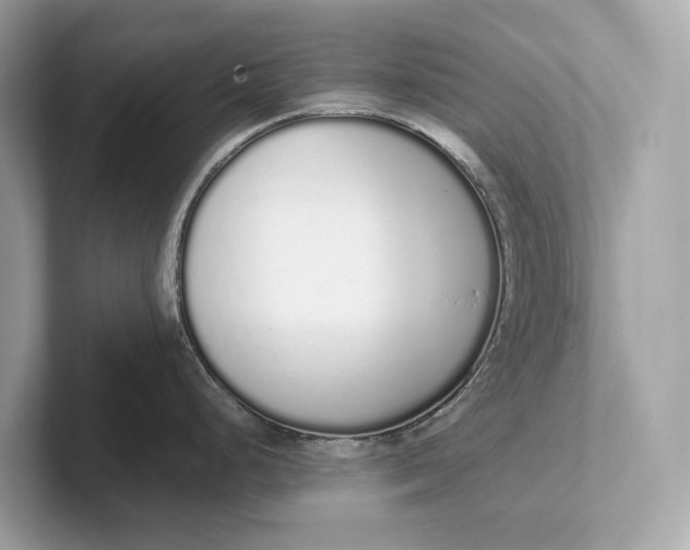 X0000101391248200807211007