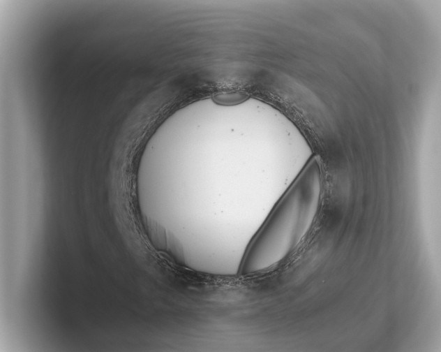 X0000101391249200807211006