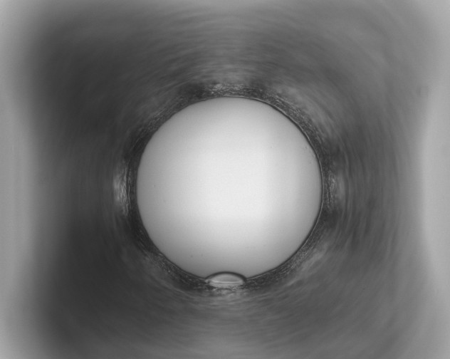 X0000101391250200807211006