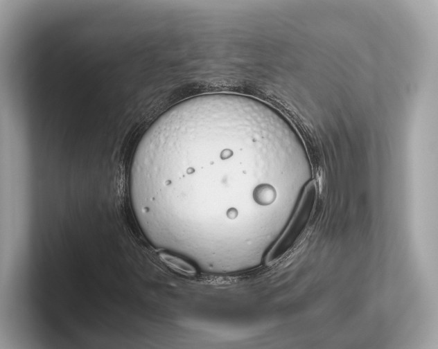 X0000101391251200807211006