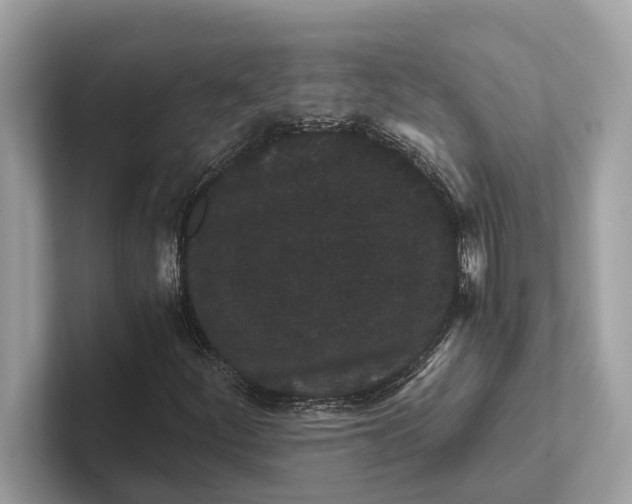 X0000101391252200807211006