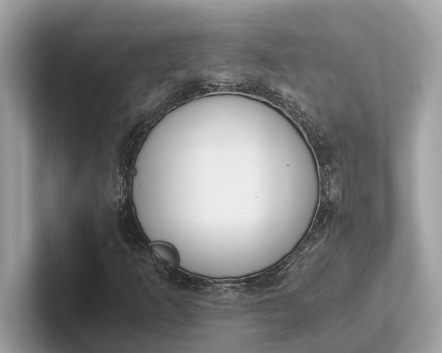 X0000101391253200807211006