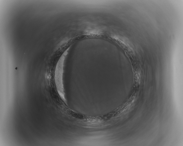 X0000101391254200807211006