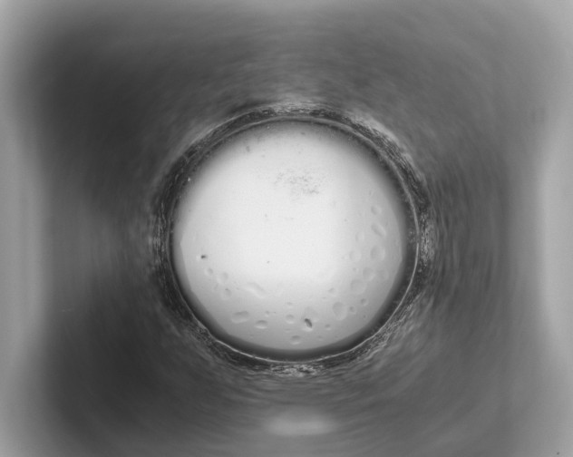 X0000101391255200807211006