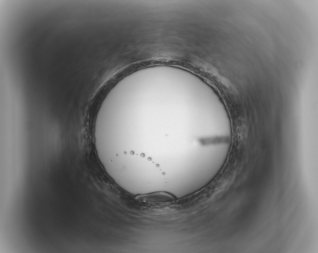 X0000101391256200807211006