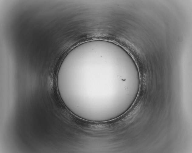 X0000101391257200807211006