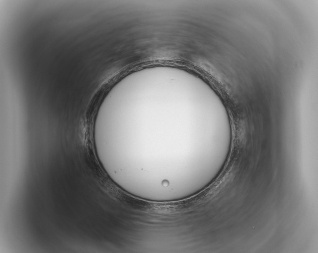 X0000101391258200807211006