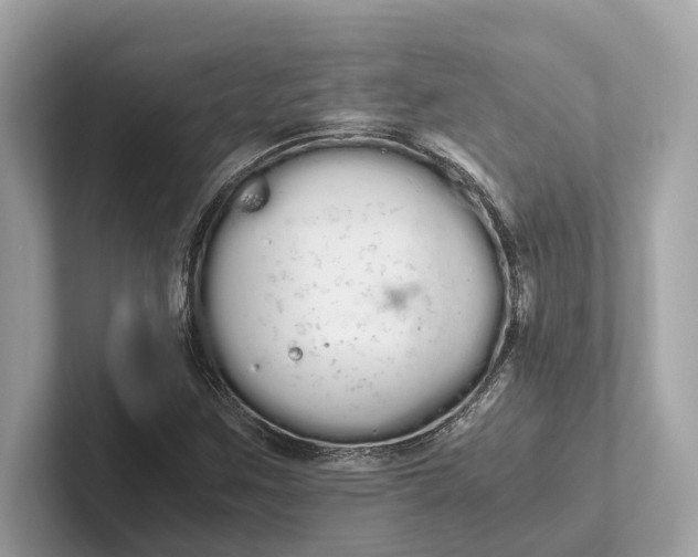 X0000101391259200807211006