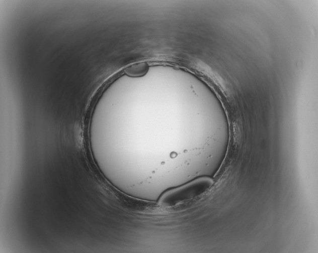 X0000101391260200807211006