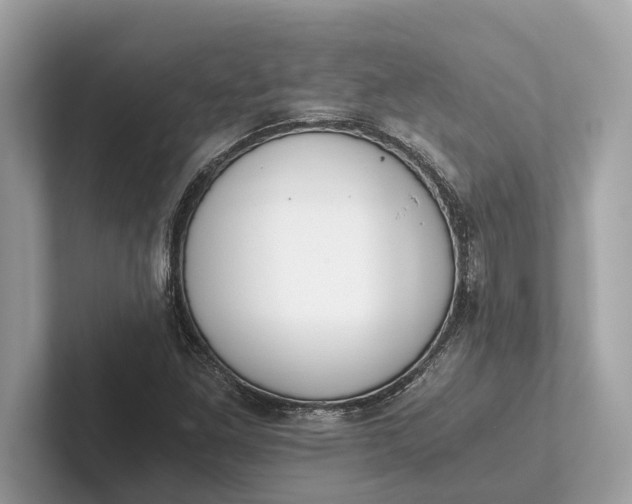 X0000101391261200807211006