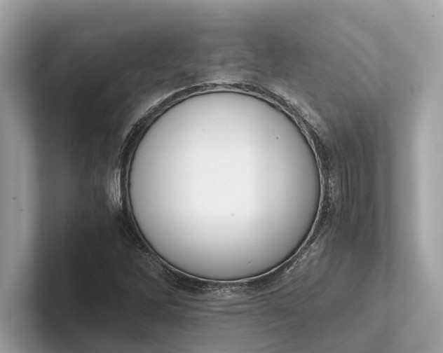 X0000101391262200807211006