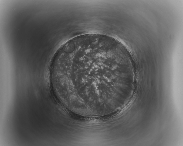 X0000101391263200807211006