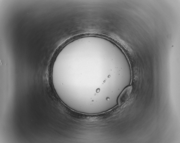 X0000101391264200807211006