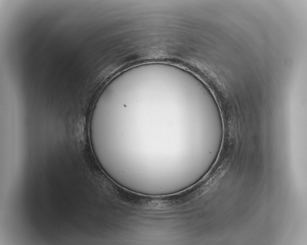 X0000101391265200807211006