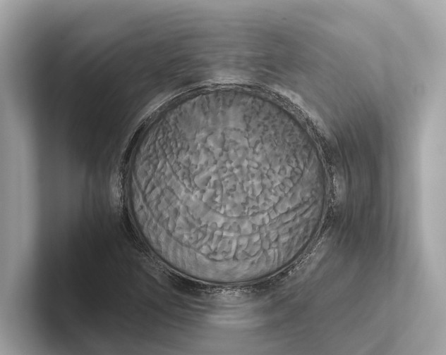 X0000101391266200807211006