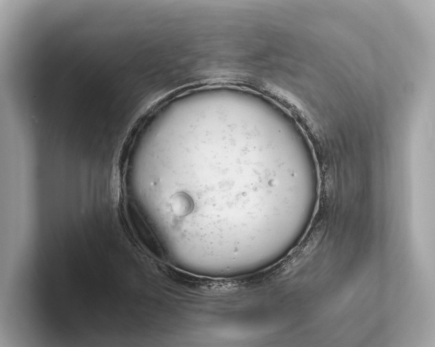 X0000101391267200807211006