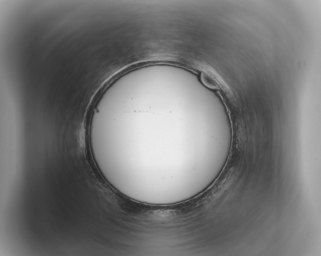 X0000101391268200807211006