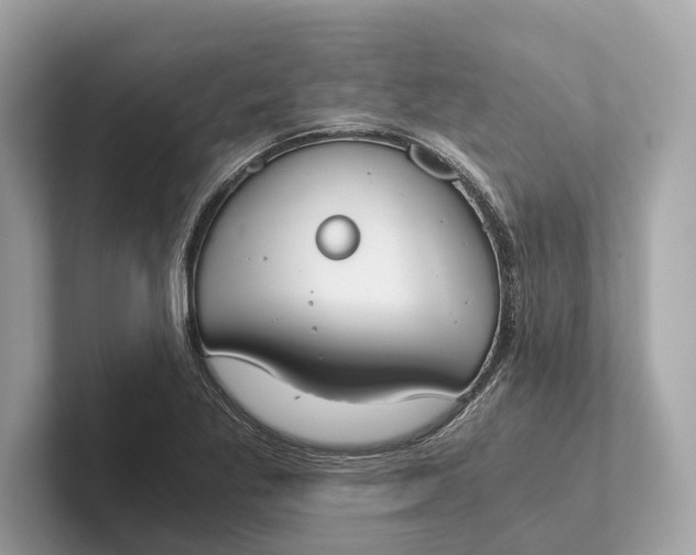 X0000101391269200807211006