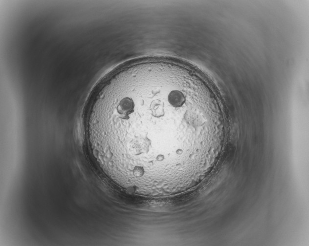 X0000101391271200807211006