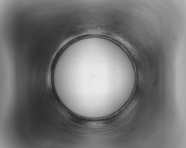 X0000101391272200807211006