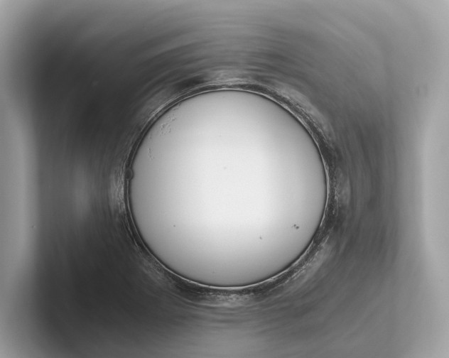 X0000101391273200807211006