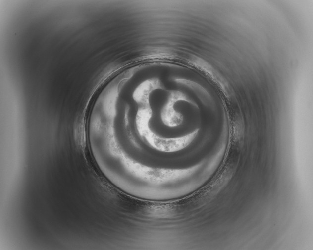 X0000101391274200807211006