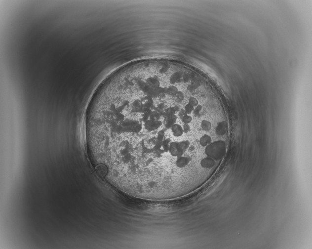 X0000101391275200807211006