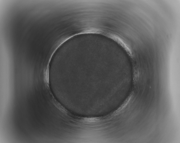 X0000101391276200807211006