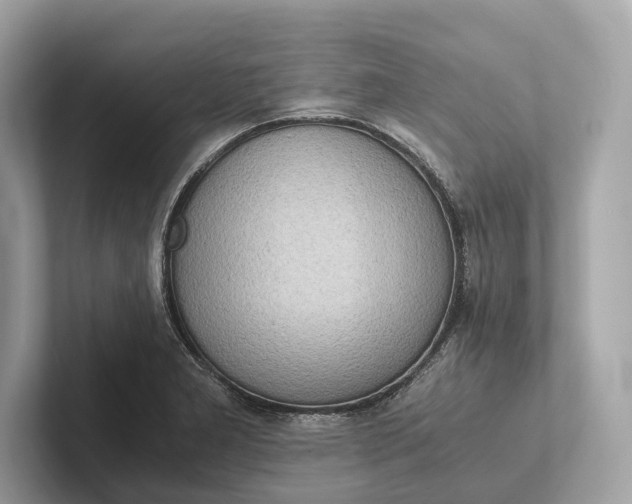 X0000101391277200807211006