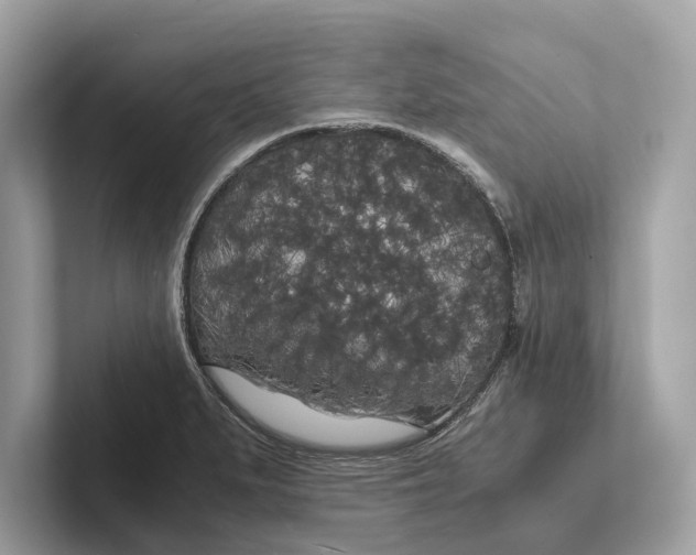 X0000101391279200807211006