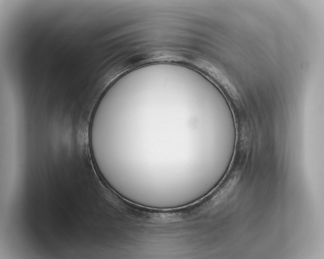 X0000101391281200807211005