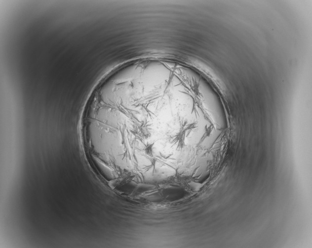 X0000101391283200807211005