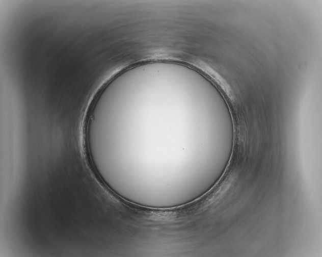 X0000101391285200807211005