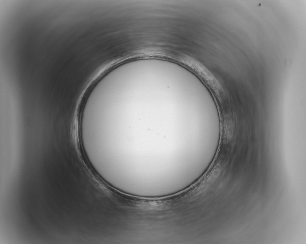 X0000101391286200807211005