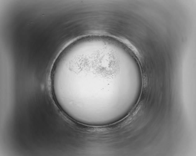 X0000101391287200807211005