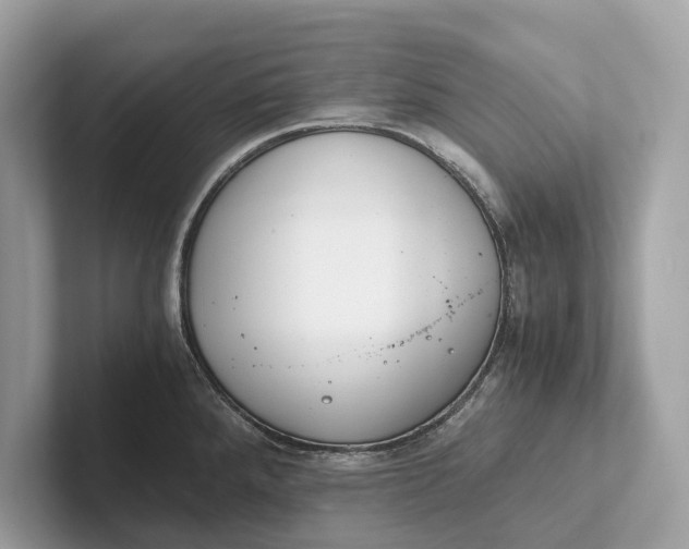 X0000101391288200807211005