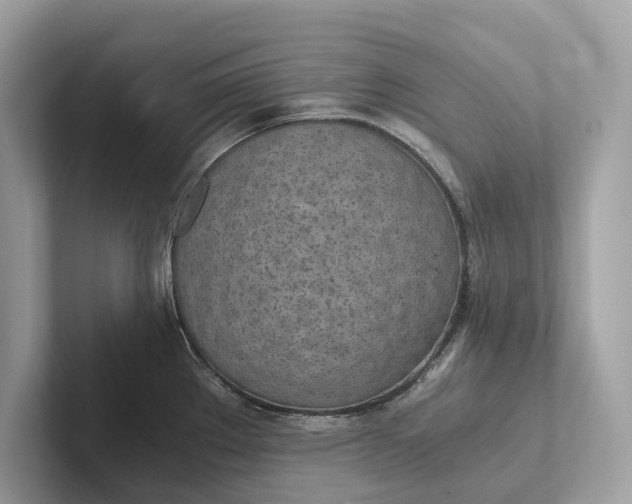 X0000101391289200807211005