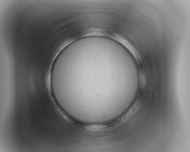 X0000101391290200807211005