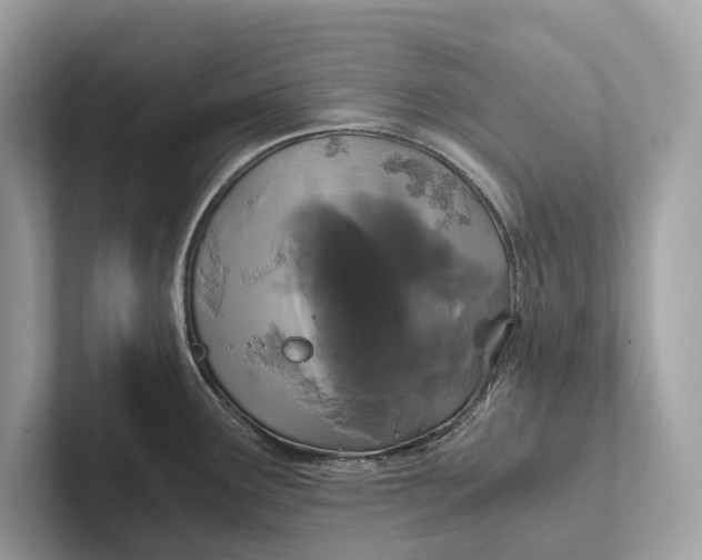 X0000101391291200807211005