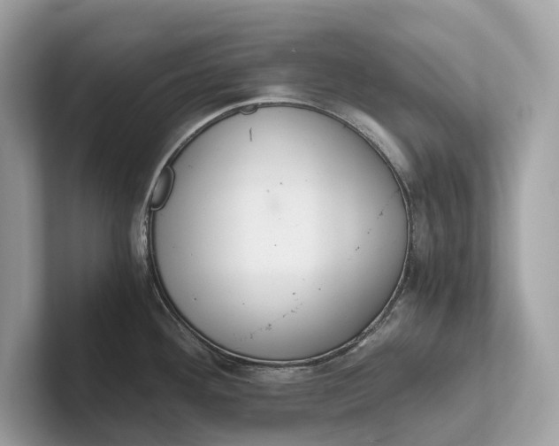 X0000101391292200807211005