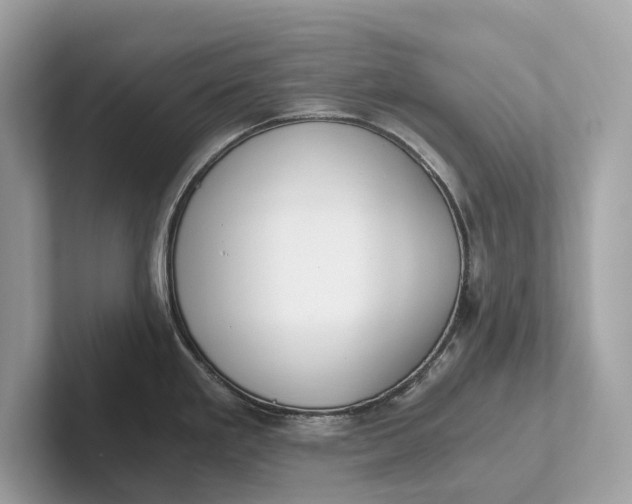 X0000101391293200807211005