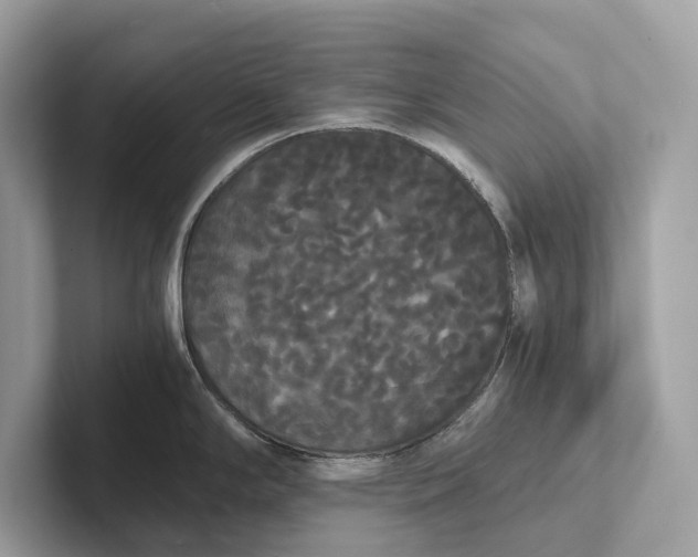 X0000101391294200807211005