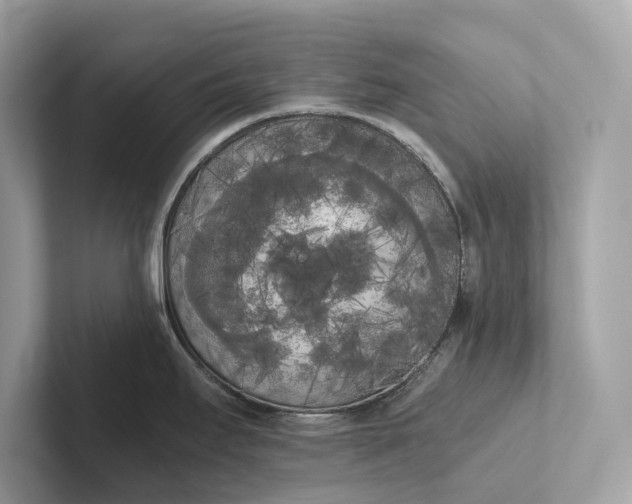 X0000101391295200807211005