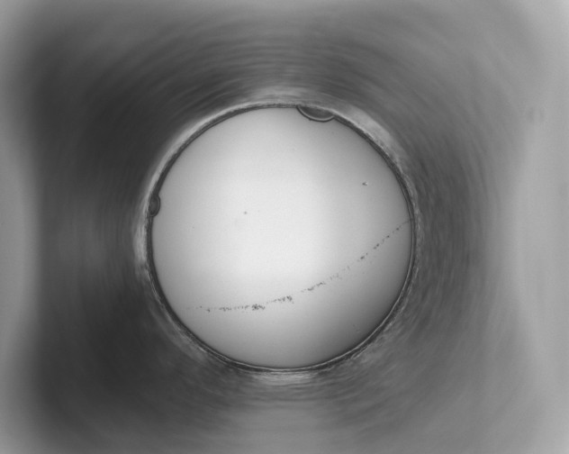 X0000101391296200807211005