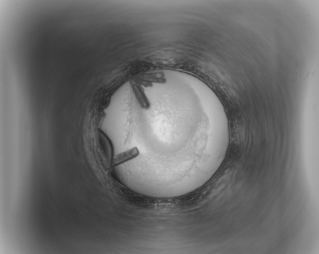 X0000101391297200807211005