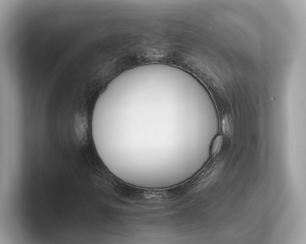 X0000101391299200807211005