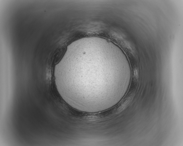 X0000101391300200807211005